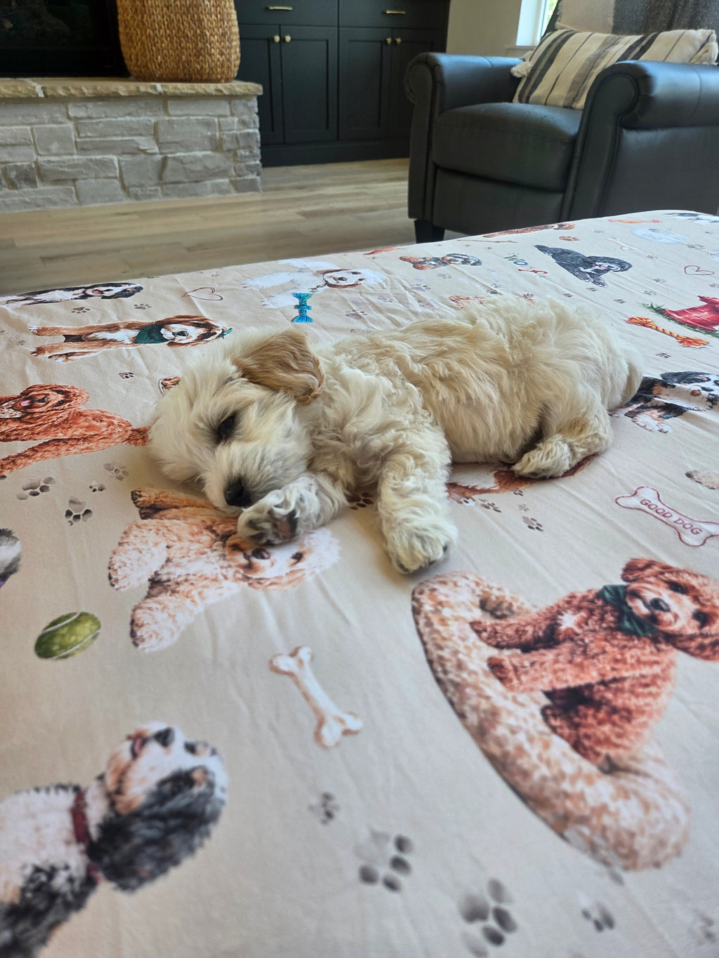 Doodle Life Dog Journey Blankets