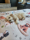 Doodle Life Dog Journey Blankets
