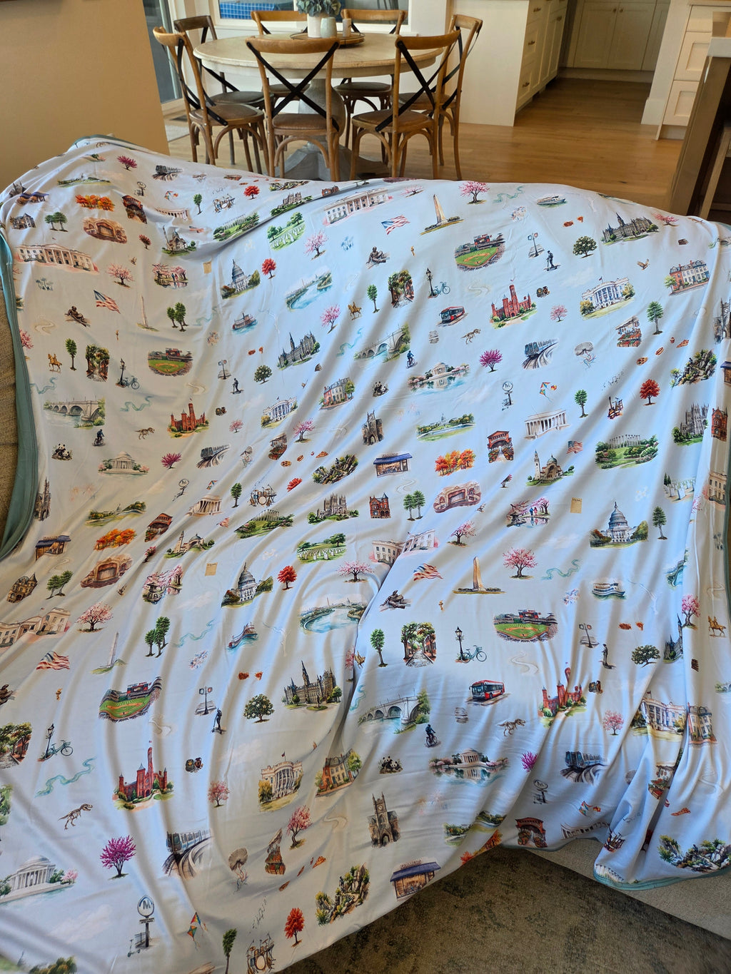 Washington DC Journey Blankets